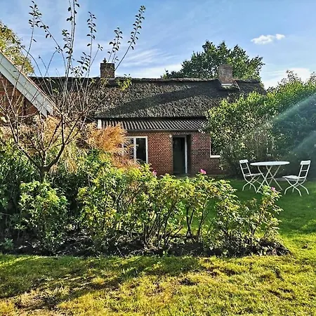 Vakantiehuis Historisches Reetdach-haus - Bis Zu 20 Personen Grossefehn