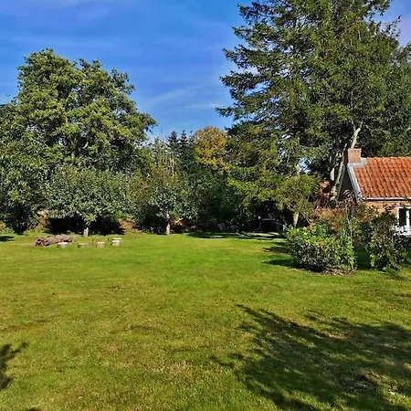 Historisches Reetdach-haus - Bis Zu 20 Personen * Grossefehn