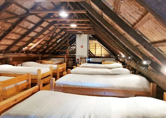 Historisches Reetdach-haus - Bis Zu 21 Personen * Grossefehn