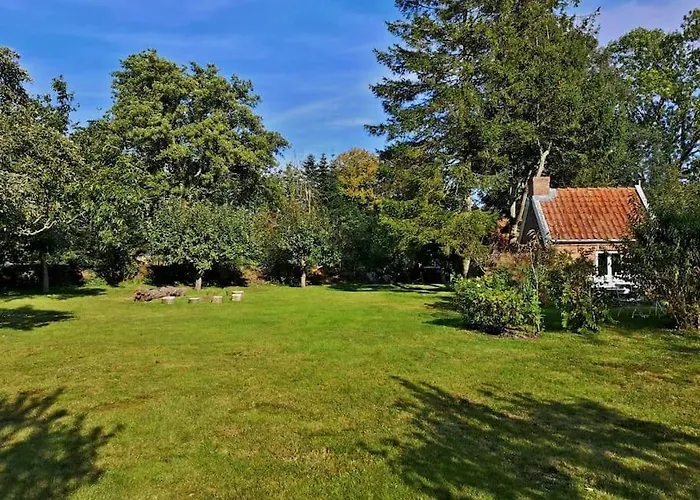 Historisches Reetdach-haus - Bis Zu 21 Personen * Grossefehn